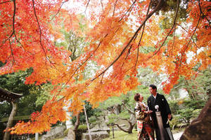 紅葉シーズンに撮るお写真はとても雰囲気が出ますね！真っ赤なもみじの下でお写真をお撮りしましょう♪