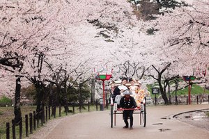 桜の時期のご予約はお早めに！！１年を通して一番人気のあるシーズンです！